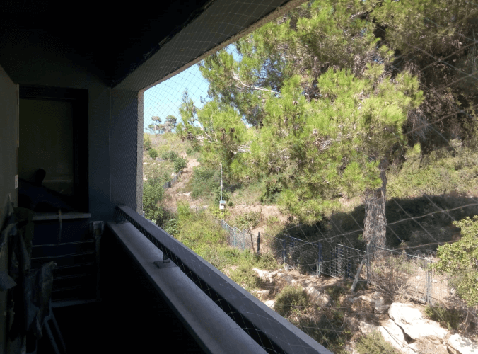 רשת להרחקת יונים 4